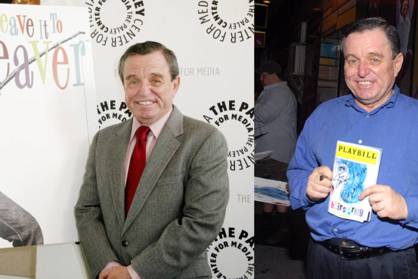 Jerry Mathers Net Worth: Latest Wealth Report Revealed 2024