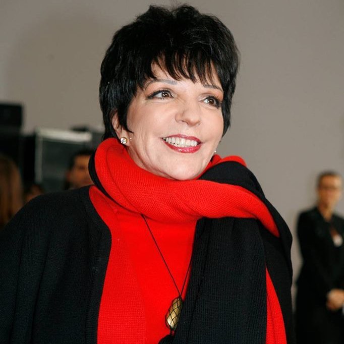 Liza Minnelli Net Worth 2024: Discover Her True Wealth